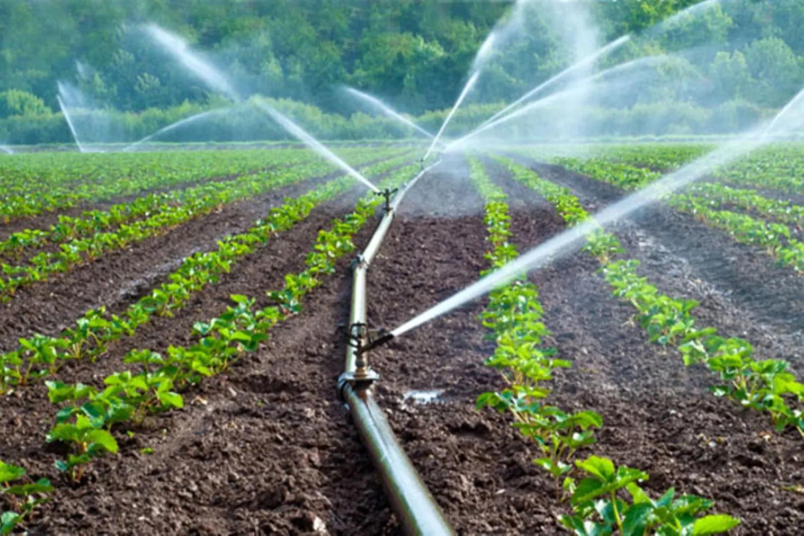 Irrigation to transform African farming
