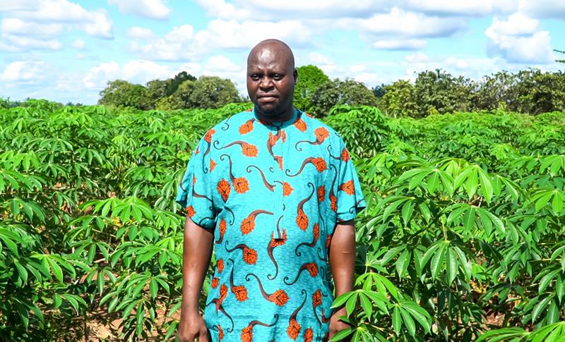An innovative sales system has cassava farmers enjoying extra profits 🇳🇬
