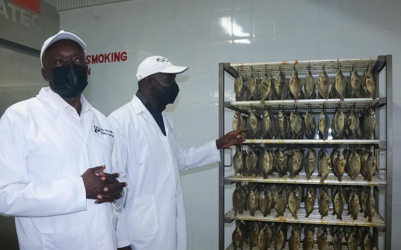 Kenyan farmers benefitting from fish exports to Europe 🐟 🇰🇪