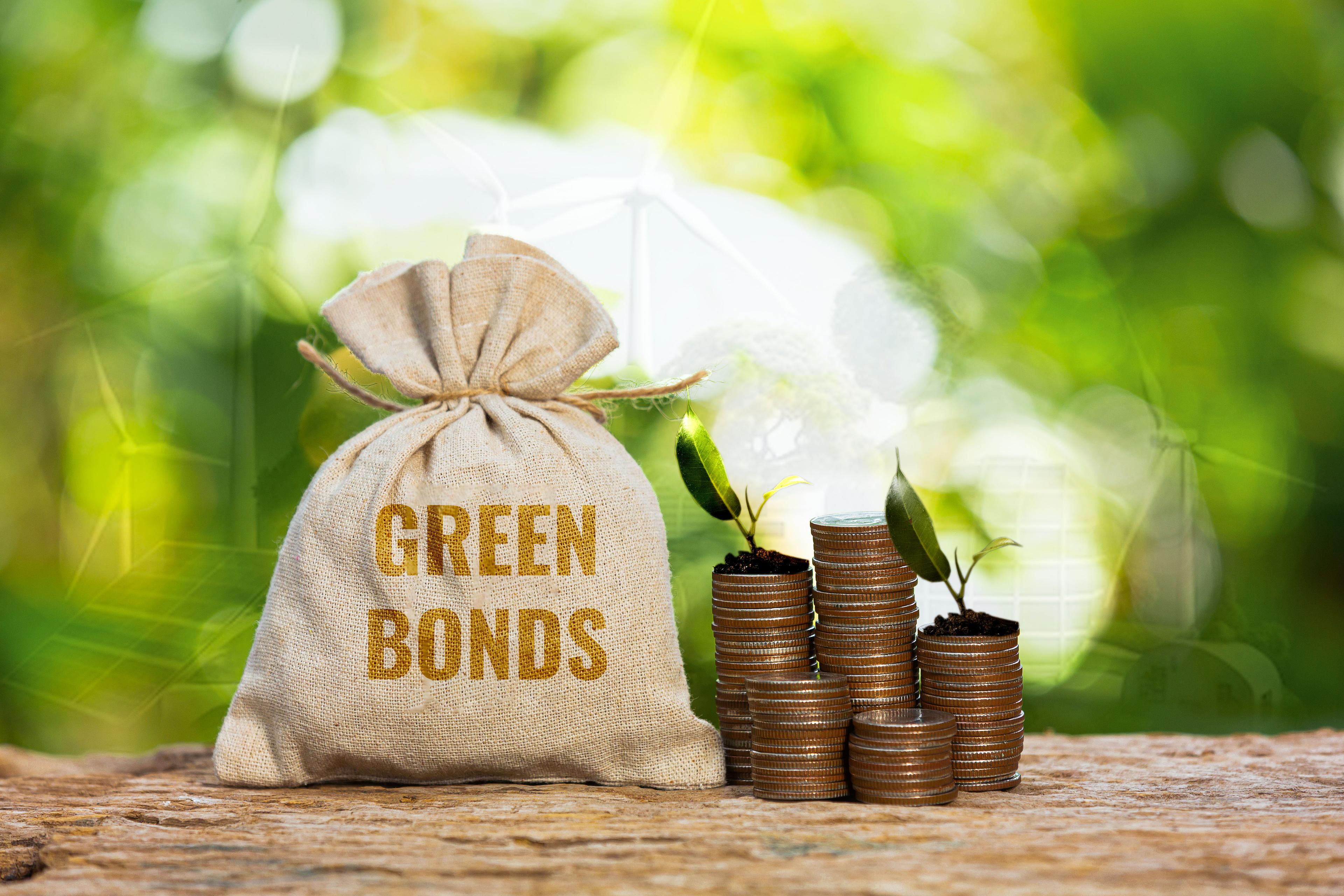 Are green bonds taking the place of carbon credits in Africa?