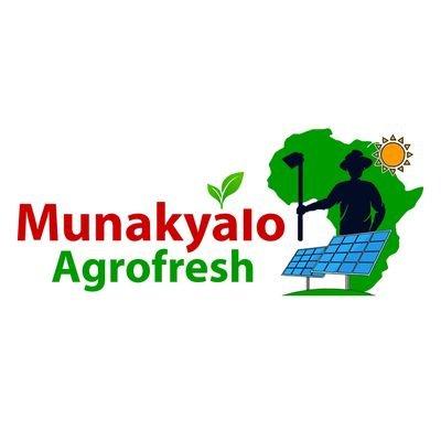 🌾 Munakyalo Agrofresh: Revolutionizing Agriculture in Uganda with Solar-Powered Cold Storage 🌞🚜 🇺🇬